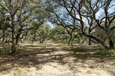 Tbd Hwy 90, Sheridan, TX 77475 - Photo 19