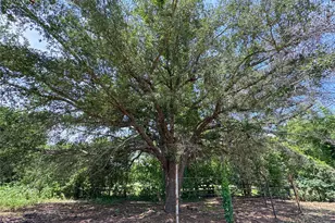 403 Fern Ln, Wharton, TX 77488 - Photo 15