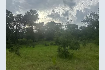 8616 Schuster Road, Round Top, TX 78954 - Photo 5