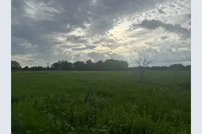 8616 Schuster Road, Round Top, TX 78954 - Photo 17