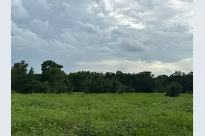 8616 Schuster Road, Round Top, TX 78954 - Photo 3