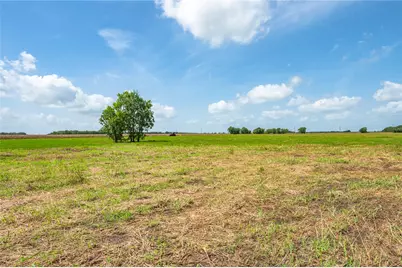 5207 Randon School Road, Rosenberg, TX 77471 - Photo 5