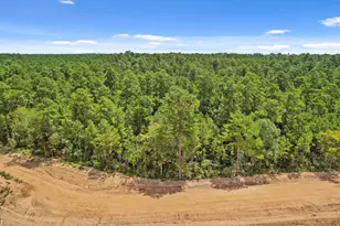 3967 Augusta Dr, Montgomery, TX 77316 - Photo 7