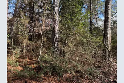 Lot 2 John Keely Road, Zavalla, TX 75980 - Photo 3