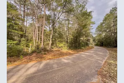 Lot 2 John Keely Road, Zavalla, TX 75980 - Photo 7