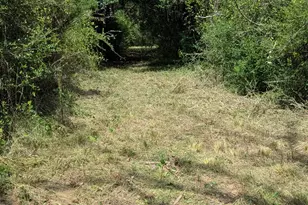 5425 Co Rd 114, Centerville, TX 75833 - Photo 1