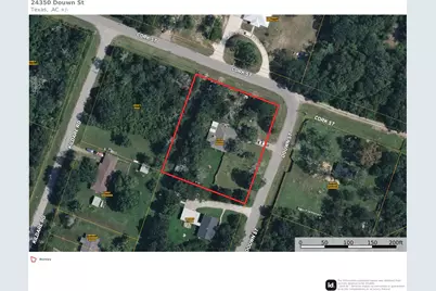 24350 Douwn Street, Hempstead, TX 77445 - Photo 7