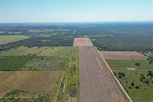 16631 Baker Cr 522 Rd, Guy, TX 77444 - Photo 11