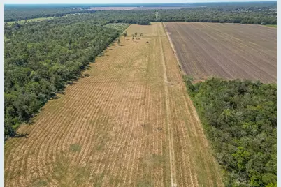16631 Baker Cr 522 Road, Guy, TX 77444 - Photo 19