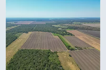 16631 Baker Cr 522 Road, Guy, TX 77444 - Photo 15