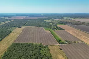 16631 Baker Cr 522 Rd, Guy, TX 77444 - Photo 15