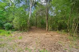 242 Cody Ln, Bastrop, TX 78602 - Photo 33