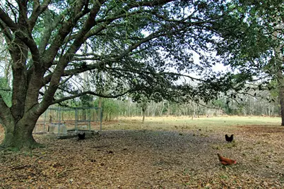 366 County Road 190, Liberty, TX 77575 - Photo 17