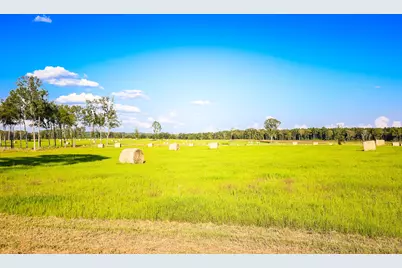 3280 N Fm 450, Hallsville, TX 75650 - Photo 23