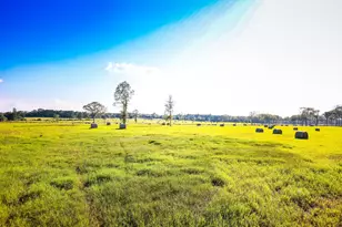 3280 N Fm 450, Hallsville, TX 75650 - Photo 19