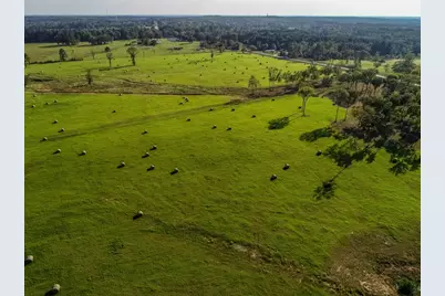 3280 N Fm 450, Hallsville, TX 75650 - Photo 29