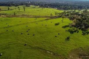 3280 N Fm 450, Hallsville, TX 75650 - Photo 29