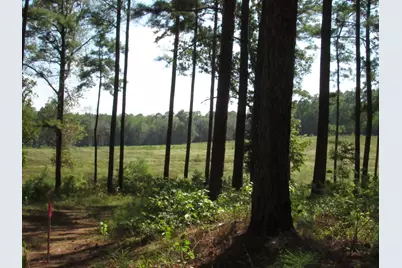 0008 Fm 256 N, Woodville, TX 75979 - Photo 1