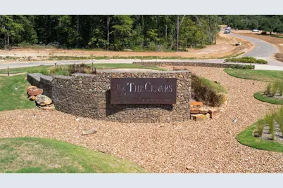 9601 Old Cedars Court, Plantersville, TX 77363 - Photo 1