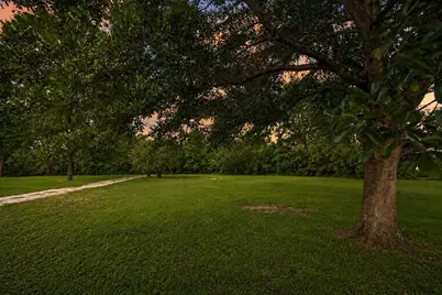 8407 Wilson Street, Fulshear, TX 77441 - Photo 13