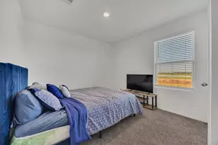 2236 Laurel Bloom, Sealy, TX 77474 - Photo 17