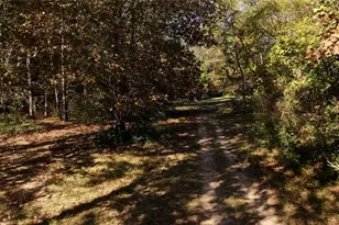 12526 Pearson Rd, Montgomery, TX 77356 - Photo 7