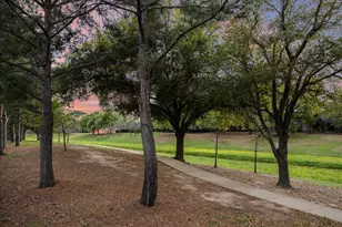 6211 Alameda Point Ln, Houston, TX 77041 - Photo 49