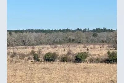 Tbd Cr 3305, Crockett, TX 75835 - Photo 11