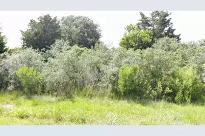 O Schlitz, Hitchcock, TX 77563 - Photo 23