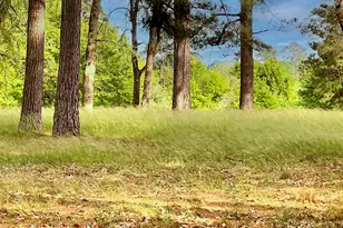 10 Oak Creek Dr, Huntsville, TX 77340 - Photo 37