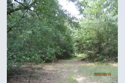 30081 Round Up Drive, Waller, TX 77484 - Photo 13