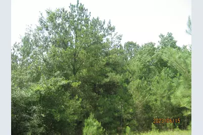 30081 Round Up Drive, Waller, TX 77484 - Photo 15