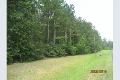 30081 Round Up Drive, Waller, TX 77484 - Photo 9