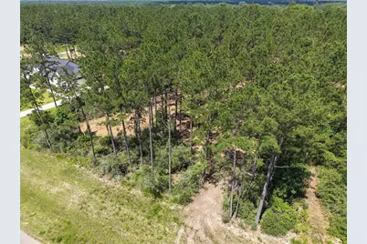 15625 Forest Grove Drive, Willis, TX 77378 - Photo 7