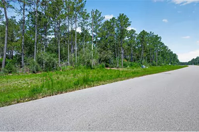 15625 Forest Grove Drive, Willis, TX 77378 - Photo 3