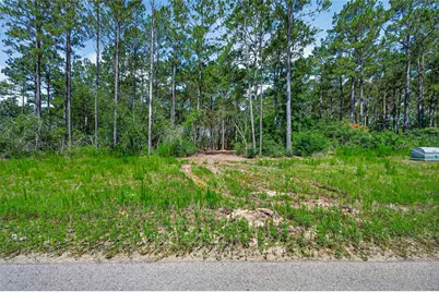 15625 Forest Grove Drive, Willis, TX 77378 - Photo 3