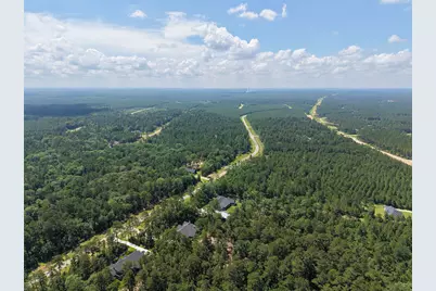 15625 Forest Grove Drive, Willis, TX 77378 - Photo 29