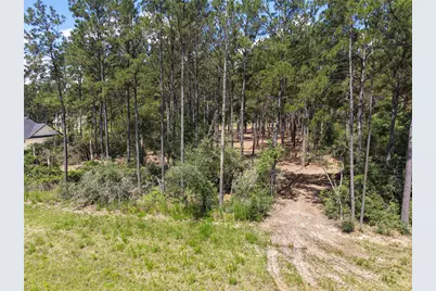 15625 Forest Grove Drive, Willis, TX 77378 - Photo 5
