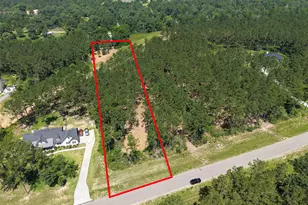 15625 Frst Grv Dr, Willis, TX 77378 - Photo 1