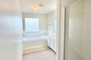 21734 Texian Ct, Spring, TX 77388 - Photo 13