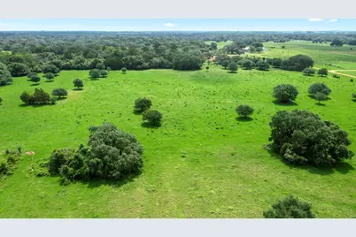 1017 New Ulm Road, Cat Spring, TX 78933 - Photo 5