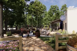 8034 Ice House St, Montgomery, TX 77316 - Photo 17