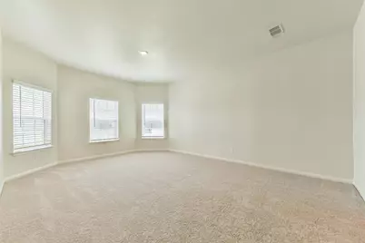 1123 Rare Fancy Drive, Iowa Colony, TX 77583 - Photo 15