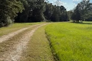 14706 Hwy 90 N, Bedias, TX 77831 - Photo 43