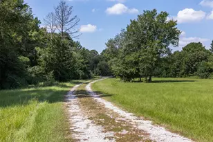 14706 Hwy 90 N, Bedias, TX 77831 - Photo 31