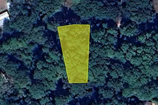 7804 N Creek, Plantersville, TX 77363 - Photo 1