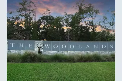 15 Wintergrass Place, The Woodlands, TX 77382 - Photo 27