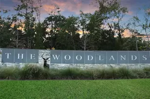 15 Wintergrass Pl, The Woodlands, TX 77382 - Photo 27