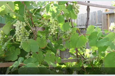 11423 Wickersham Lane, Houston, TX 77077 - Photo 27