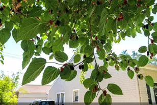 11423 Wickersham Ln, Houston, TX 77077 - Photo 25